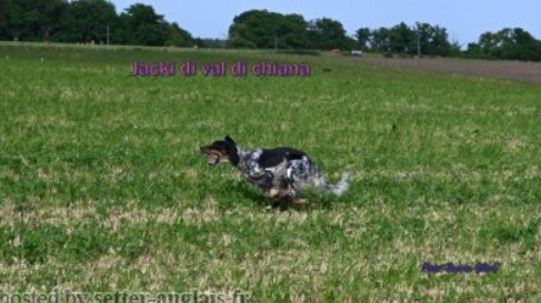 JACKI Di val di chiana