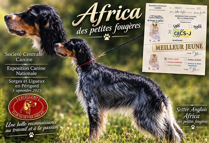 Une belle réussite pour Africa des Petites Fougères